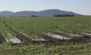 Membranas para la agroindustria